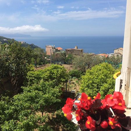 Relais Il Pennino Bed & Breakfast Massa Lubrense Phòng bức ảnh